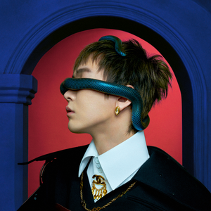 黄色大毒枭免费播
