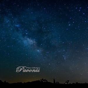 黄色大毒枭免费播
