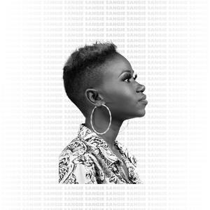 黄色大毒枭免费播
