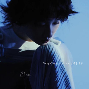 黄色大毒枭免费播
